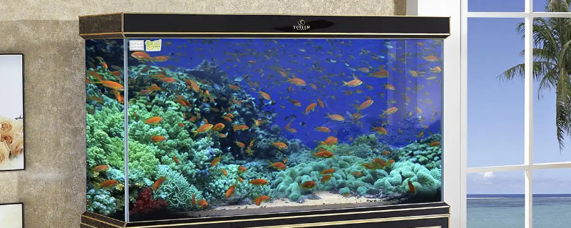 鱼缸壁挂滤桶转子怎么调试