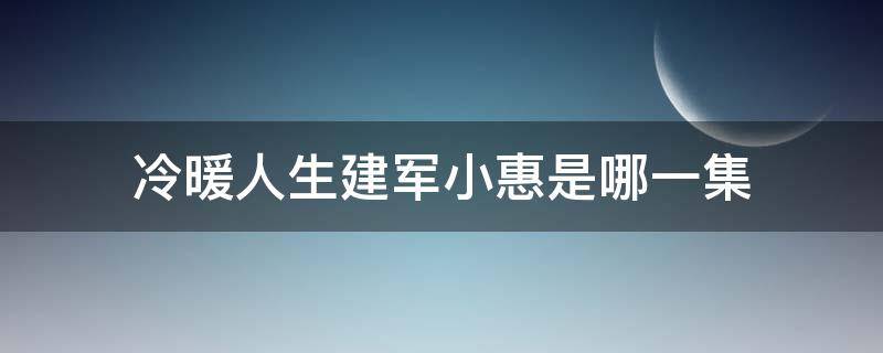 冷暖人生建军小惠是哪一集 冷暖人生大林小燕是哪一集