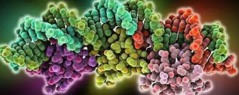 酶如何影响植物发芽或抽薹 酶如何影响植物发芽或抽薹