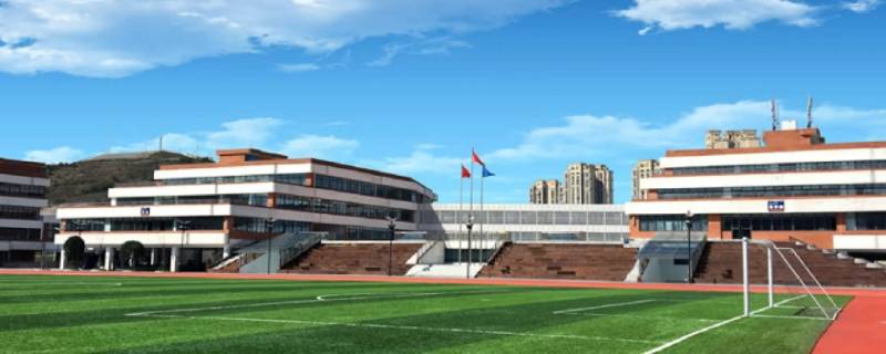 民办高中可以不报考艺术类吗 民办高中可以参加艺考吗