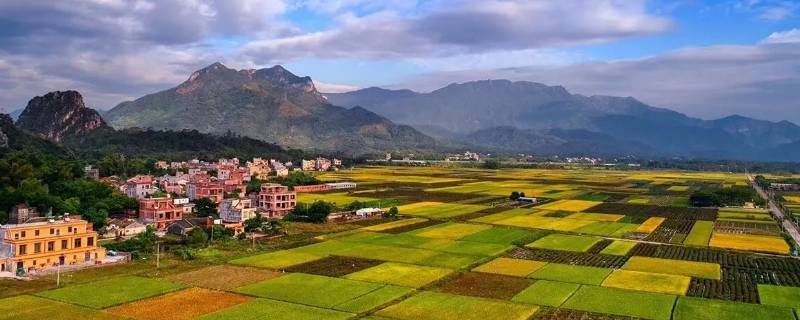 阳春的绰号（欧阳锋的绰号是什么）