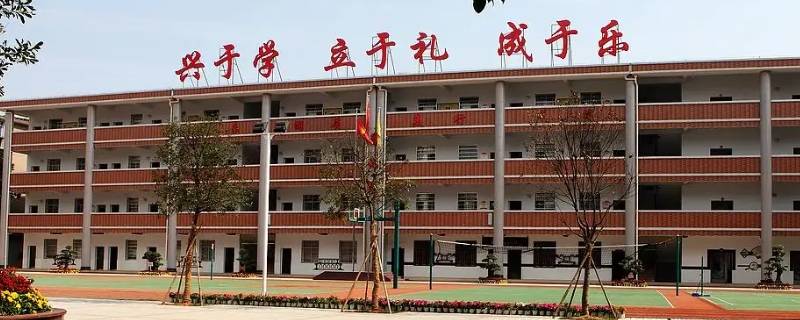 郑州小学有内定名额吗（郑州小学每班人数规定）