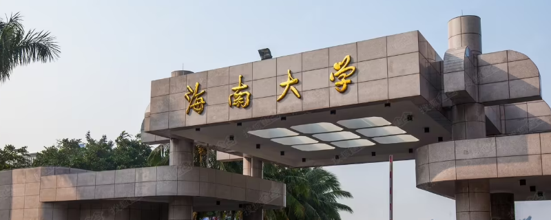 束锋老师是海南大学的教授吗（海南大学何逊峰老师）