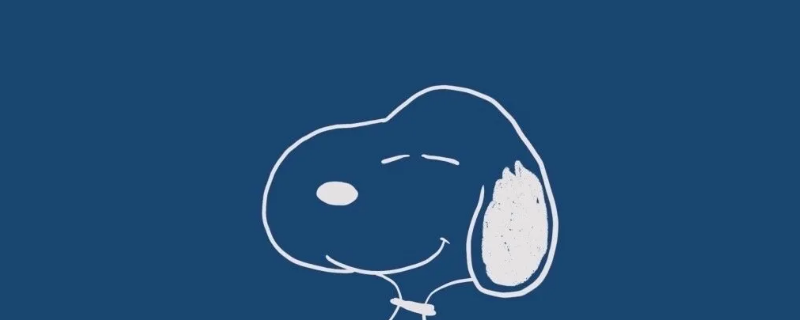 为什么安踏史努比美国旗 安踏衣服上为什么可以使用国旗