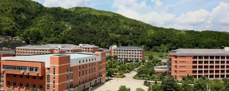 浙江省青田中学2022年录取分数线（2021青田县中考分数线）