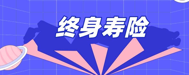 荣耀终身寿险代码