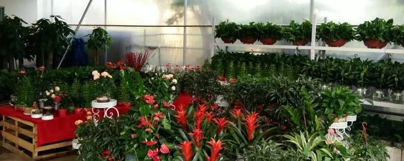 我是女儿怎么赚钱（我是女儿怎么赚钱养家）