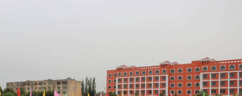 疏勒县八一中学高中录取分数线 疏勒县八一中学高中录取分数线