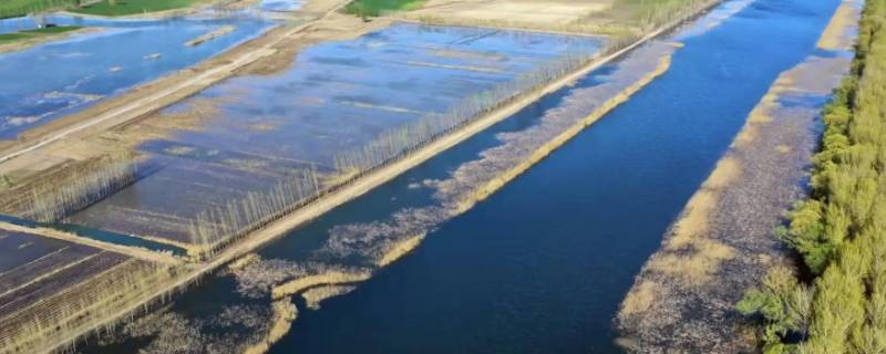 河北文安是全国卫生城市吗（文安县全国文明城市）