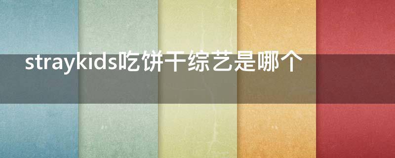 straykids吃饼干综艺是哪个