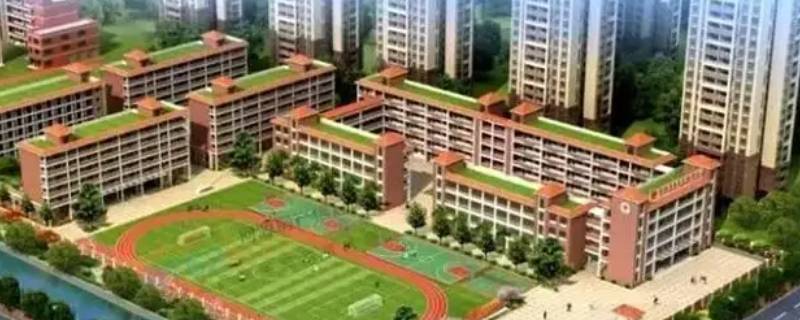 河源崇明实验学校是公立还是私立（河源崇明实验学校是公立还是私立的）