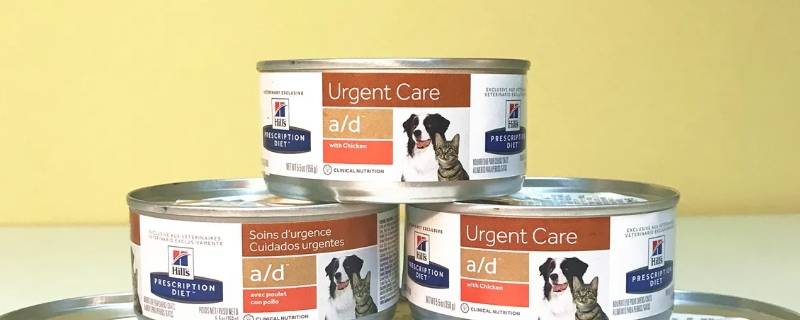 爱丽丝罐头是日本的吗（爱丽丝罐头是日本的吗）