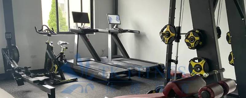 舒华跑步机x9是哪一年上市的 舒华跑步机X9