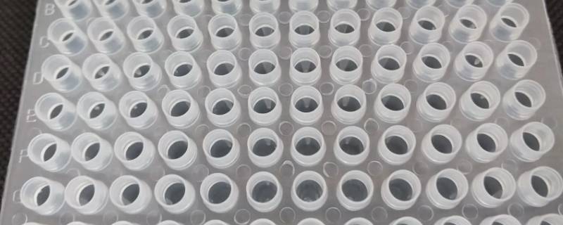 新手加384孔板需要多久（384孔板可以重复使用吗）