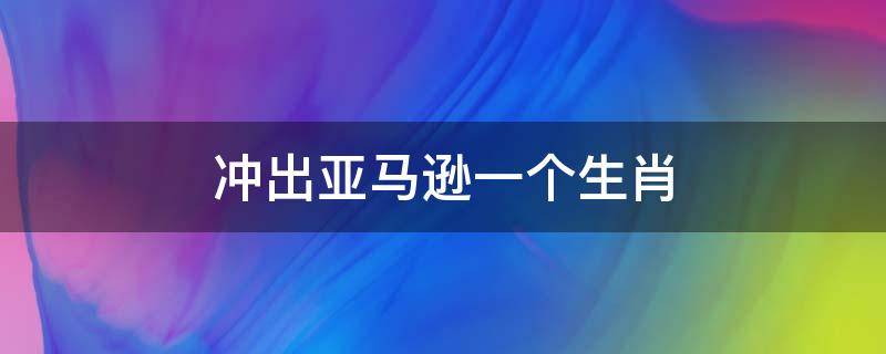 冲出亚马逊一个生肖（亚马逊是什么生肖）