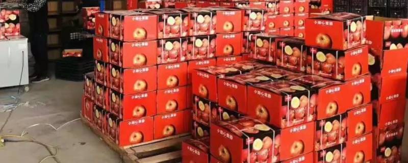 浙江金华有苹果仓库吗 浙江金华有苹果仓库吗在哪里