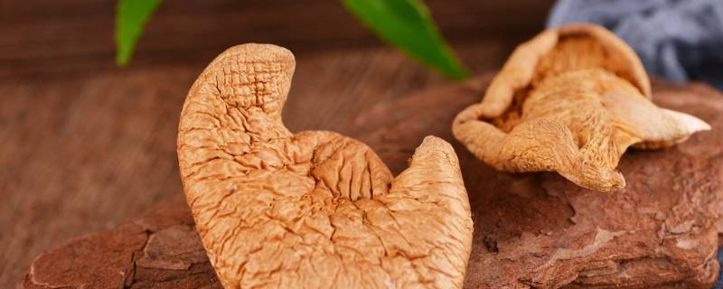 元蘑和鲜蘑的区别（元蘑和鲜蘑的区别图片）