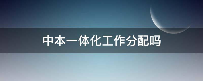 中本一体化工作分配吗（首批中本一体化怎样了）