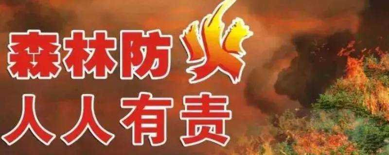 哈尔滨道外防火归什么部门管理（哈尔滨市道外消防大队）