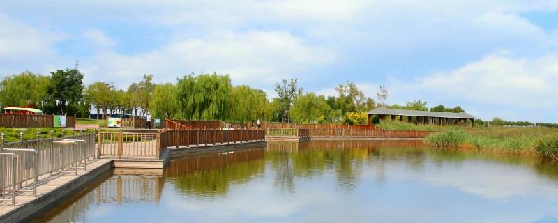 官港属于塘沽还是大港 官港属于塘沽还是大港管