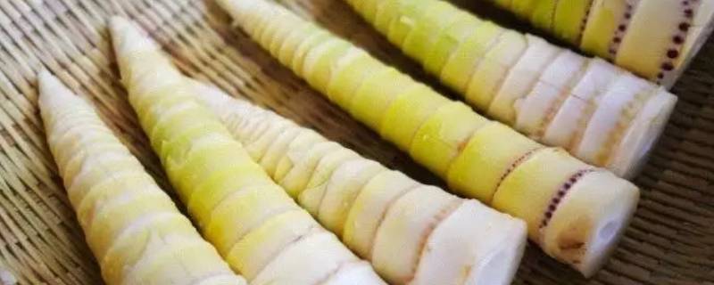 淘米水泡笋子有馊味怎么办 泡的笋子怎么有股馊味