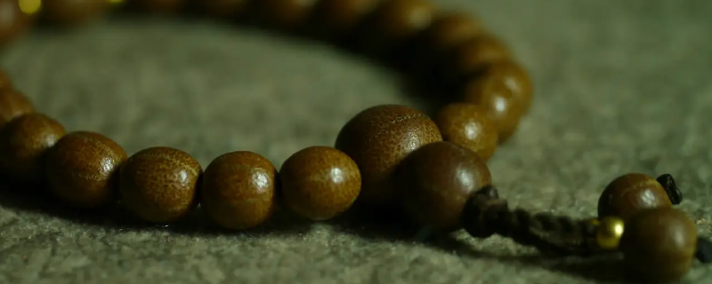 故宫五线菩提几月份成熟（故宫五线菩提子的特征）