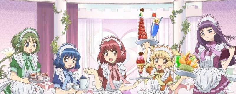 东京猫猫新番和旧版一样吗 东京猫猫哔哩哔哩