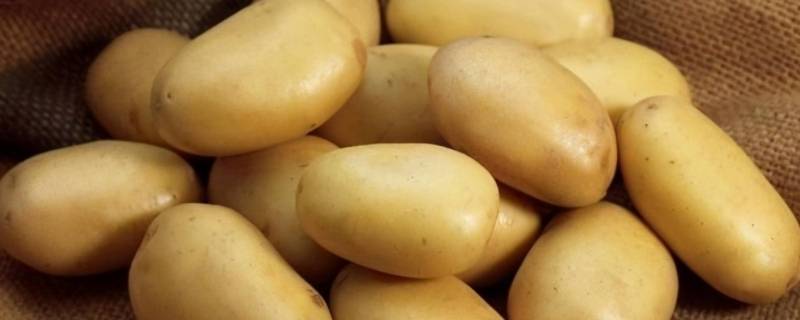 土豆60克是多少（土豆600克有多少）