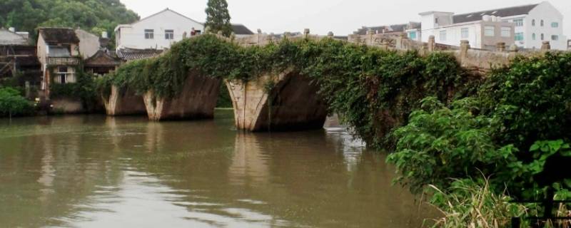 新河的五洞桥叫什么 新河的五洞桥叫什么名字