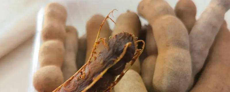 酸梅角和酸梅有什么区别（话梅哪种酸）