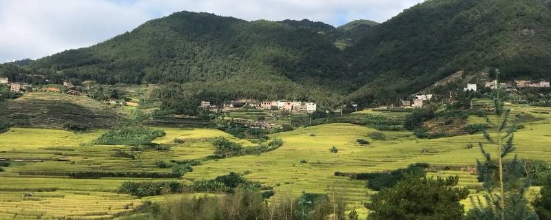 石井菊江码头在哪里