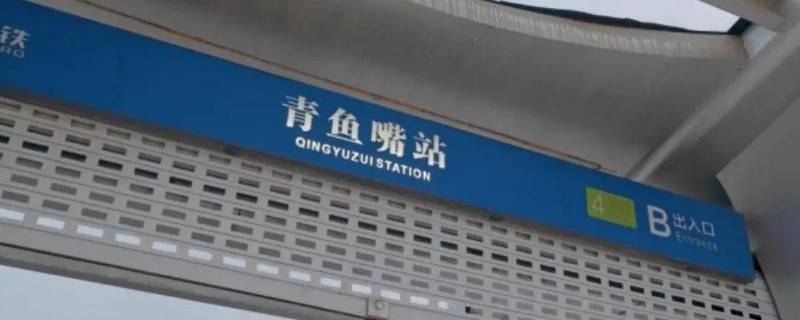青鱼嘴来历（青嘴鱼图片）