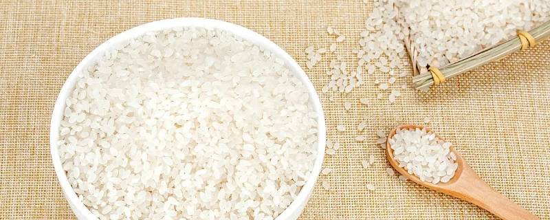 米可以放在旧衣柜吗（衣柜里放米有什么用）