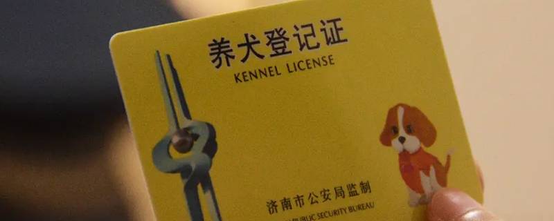 虎门大宁养狗去哪里办狗证 虎门办狗证在什么地方办理