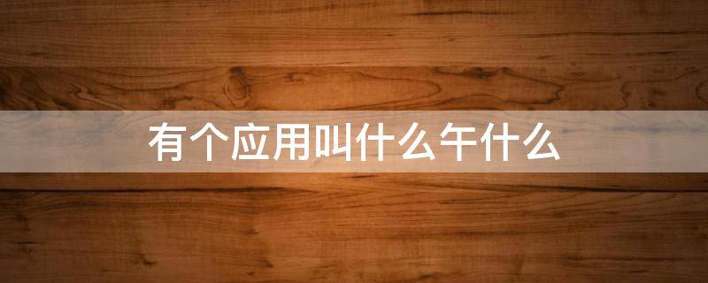 有个应用叫什么午什么