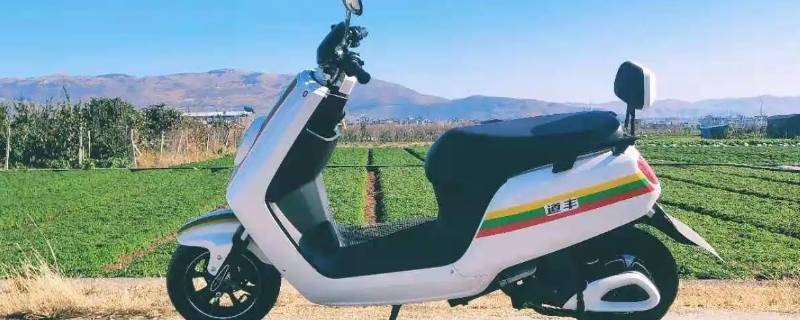 没戴头盔骑电动车罚款算纳税吗 骑电动没戴头盔罚款不交