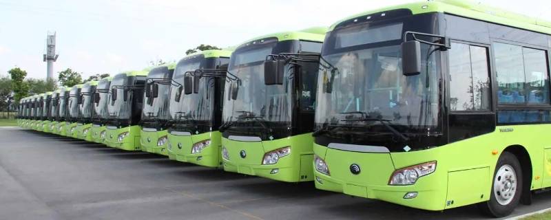 衡水107路可以刷二维码吗 衡水107路可以刷二维码吗现在