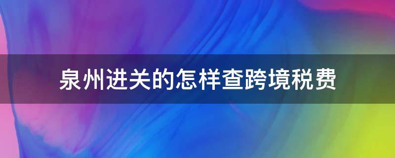 泉州进关的怎样查跨境税费