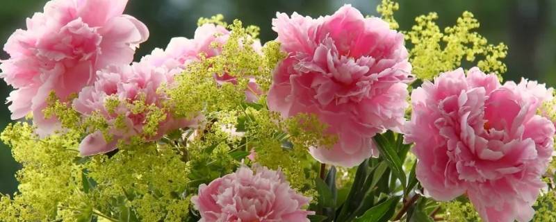 送妈妈生日礼物送什么（送妈妈生日礼物送什么好手工）