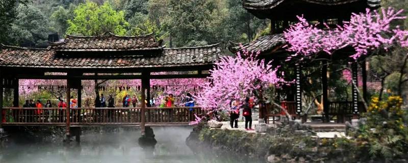 从桃源能坐船去桃花源吗（桃花源游船在哪里坐）