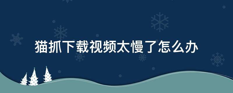 猫抓下载视频太慢了怎么办 猫抓下载的视频不完整怎么办