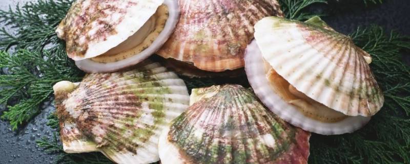 瑶柱旁边黄黄的是什么东西 瑶柱边上白色的是什么