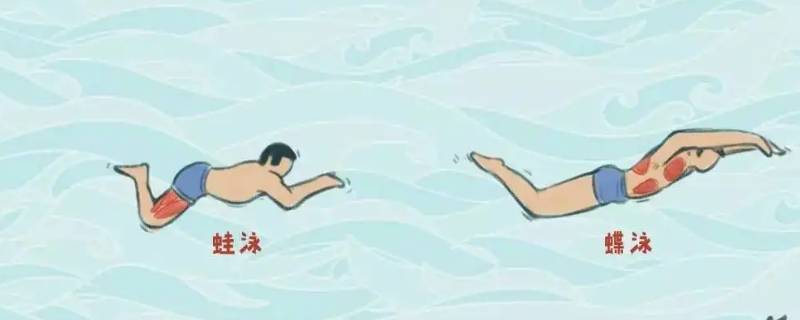 握拳头游蛙泳的作用（握拳头游蛙泳的作用是）