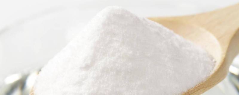 小苏打可以去除屋里宠物的味道吗 小苏打可以去除宠物异味吗