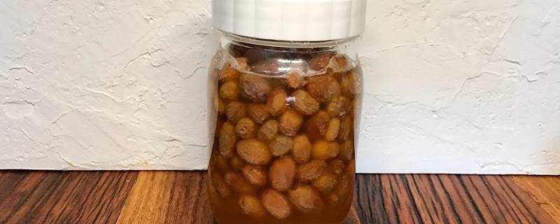 葡萄干酵母液可以直接喝吗（葡萄干酵母液可以直接喝吗）