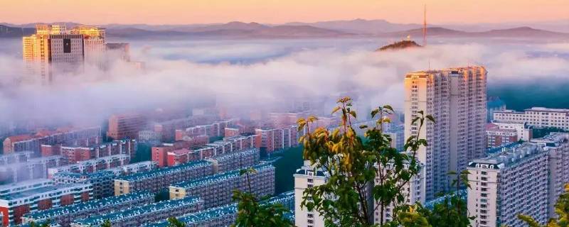 七台河冠军楼开放时间 七台河冠军楼电话