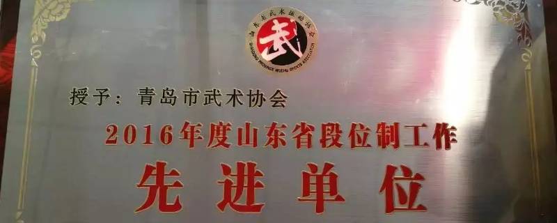武术协会有工资吗（武术协会会长有没有工资）