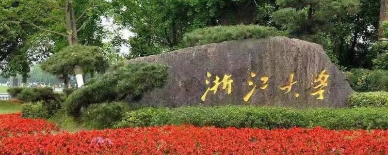 浙大博士晚上有课吗（浙大博士课程）