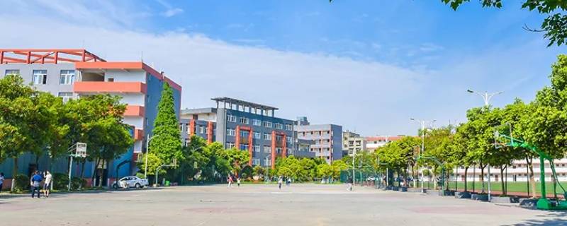 灵山外国语学校有小学吗 灵山外国语学校有小学吗初中