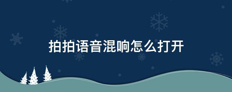 拍拍语音混响怎么打开 拍拍语音混响怎么打开蓝牙